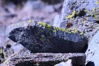 DSC_2249 (Large).JPG